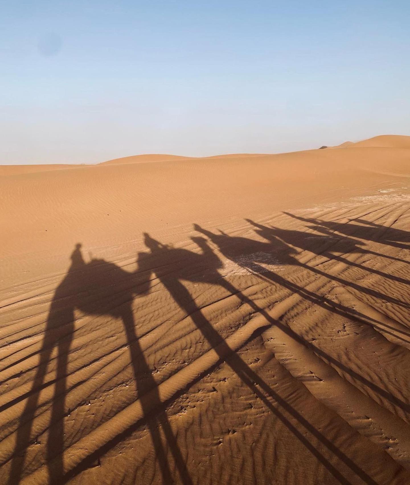 Riad Dar Fadma ワルザザート エクステリア 写真
