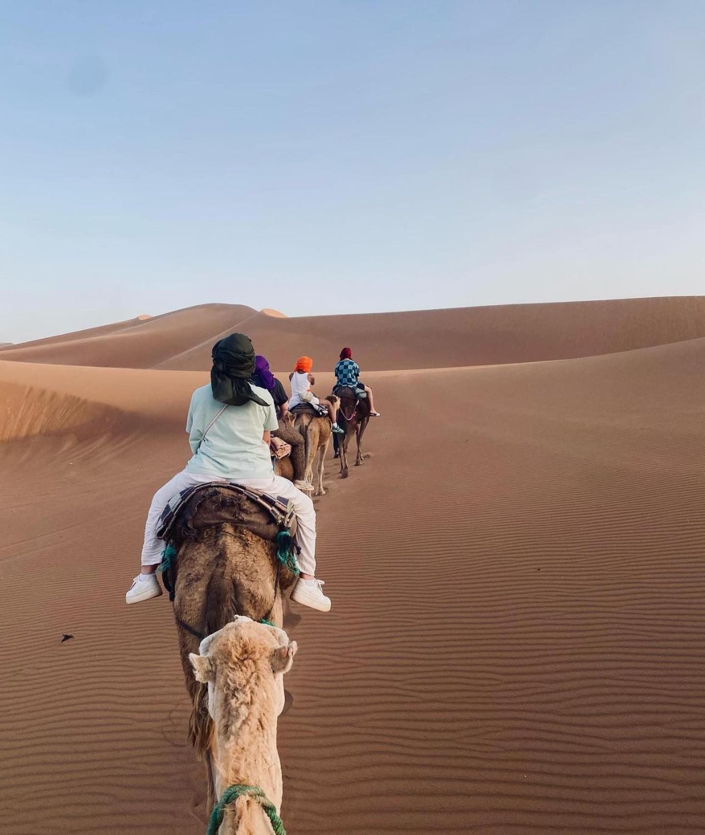 Riad Dar Fadma ワルザザート エクステリア 写真